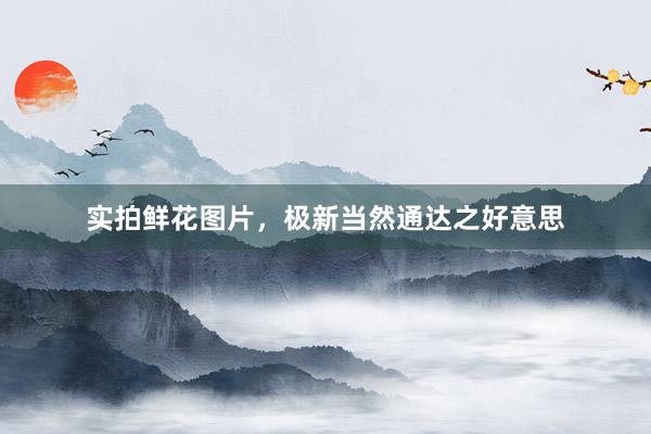 实拍鲜花图片，极新当然通达之好意思