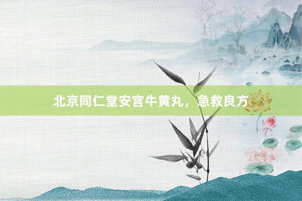 北京同仁堂安宫牛黄丸，急救良方